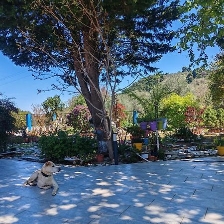 Εξοχική Κατοικία - Cottage Τίνα Liri ภายนอก รูปภาพ