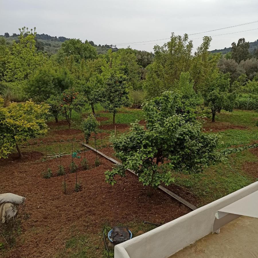 Εξοχική Κατοικία - Cottage Τίνα Liri ภายนอก รูปภาพ
