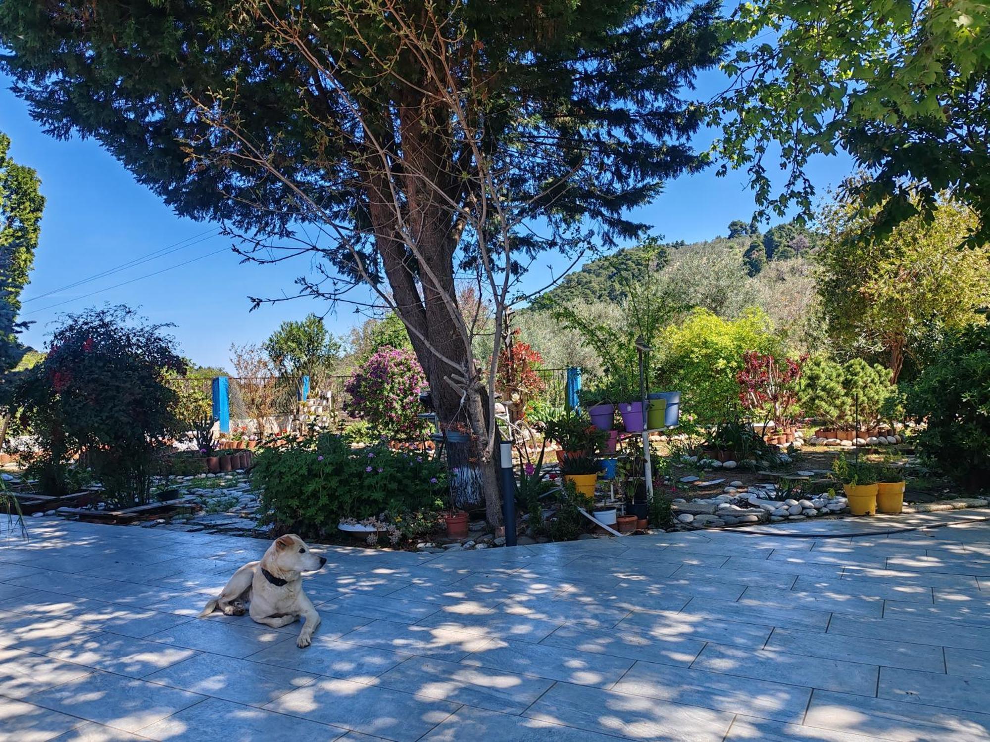 Εξοχική Κατοικία - Cottage Τίνα Liri ภายนอก รูปภาพ